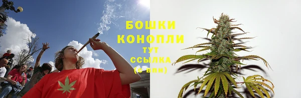 СК Ладушкин
