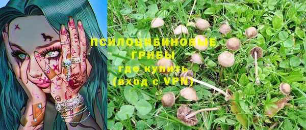 ALPHA PVP Лабытнанги