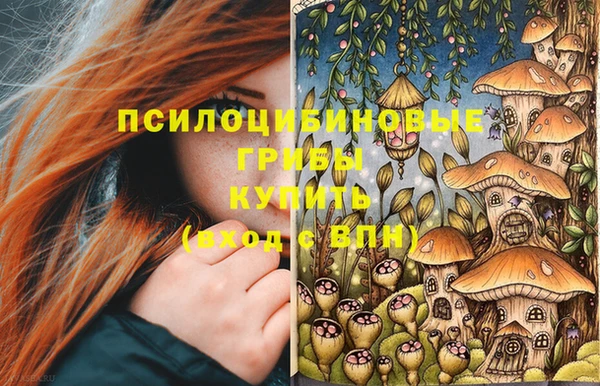 СК Ладушкин
