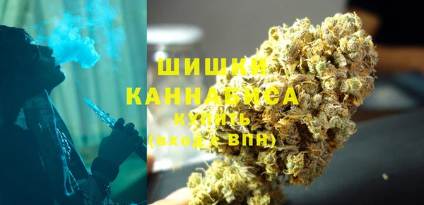 Альфа ПВП Лагань