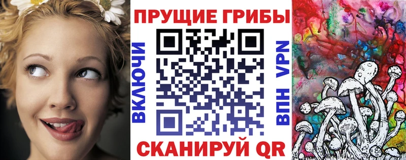 блэк спрут ТОР  Ноябрьск  Галлюциногенные грибы Psilocybine cubensis  цены  