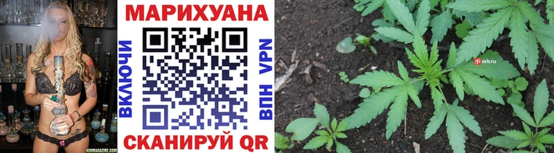 Конопля Bruce Banner  сколько стоит  Ноябрьск 